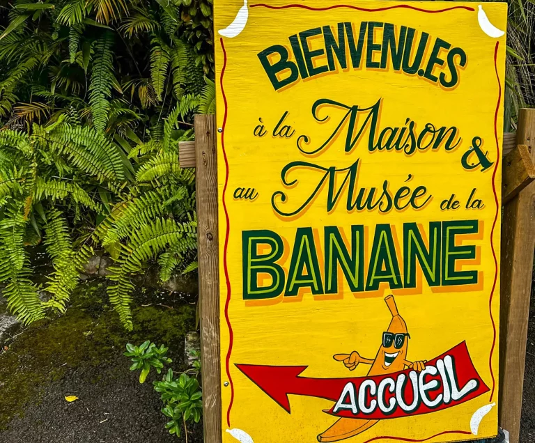 Why a Visit to Maison de la Banane is the Unexpected Highlight of Guadeloupe